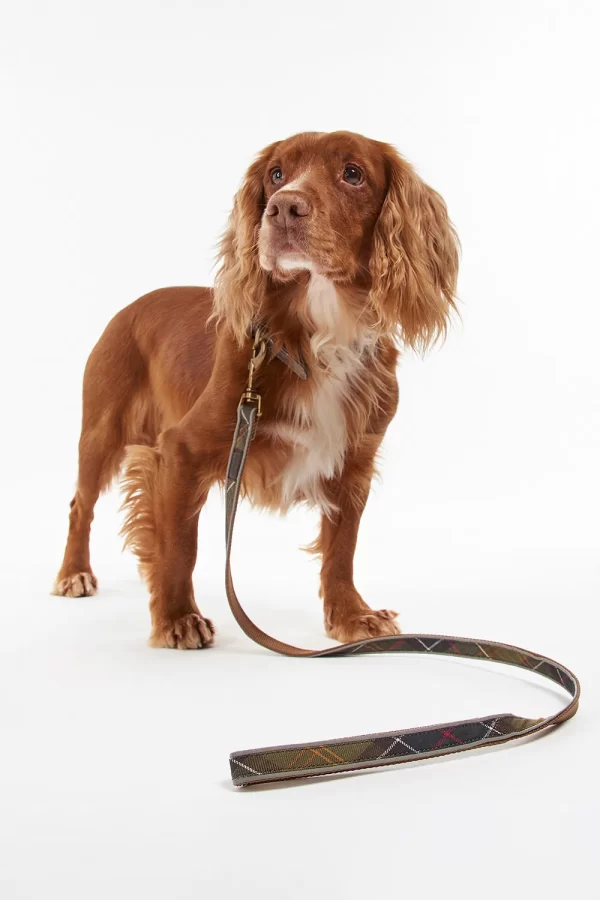 Barbour Reflective Dog Lead Tartan - Imagen 2