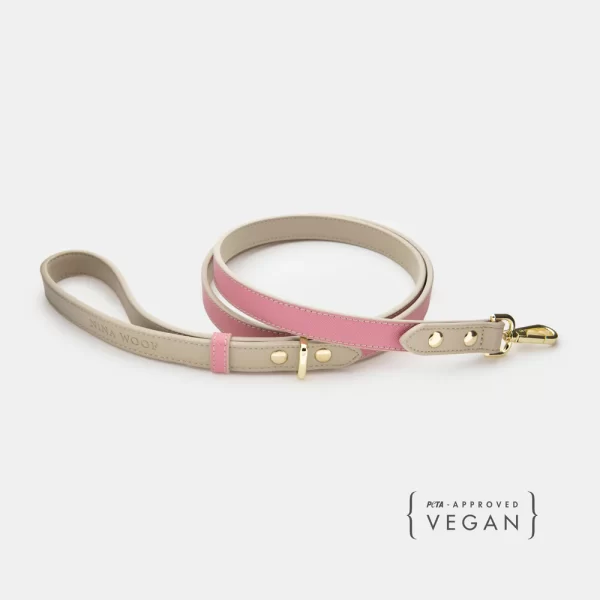 Leash Rio Pink 4ft